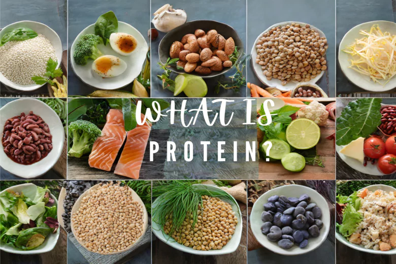 Plant-based vs Vegan: Exploring Differences