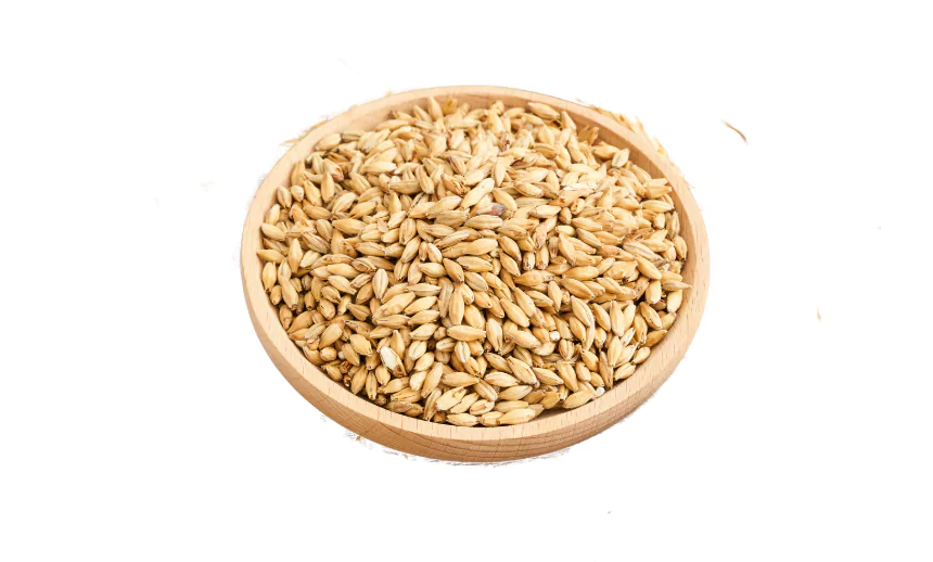 Barley