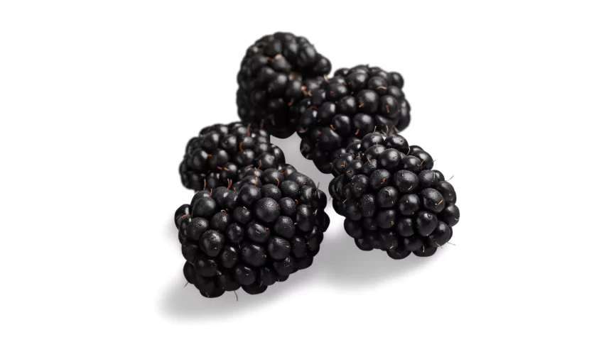 blackberries