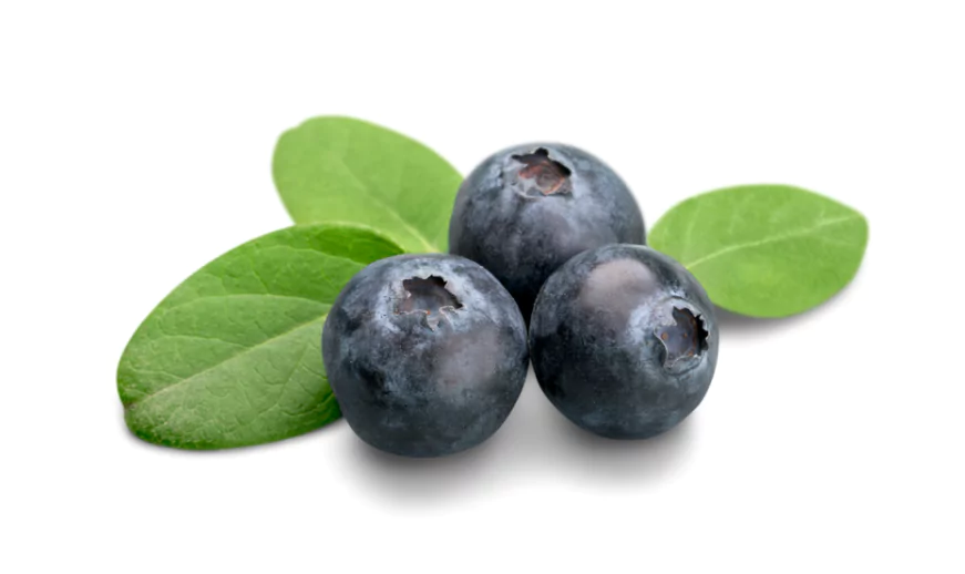 Blueberries