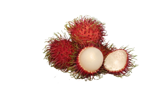 Mamon Chino