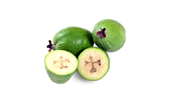 Feijoa