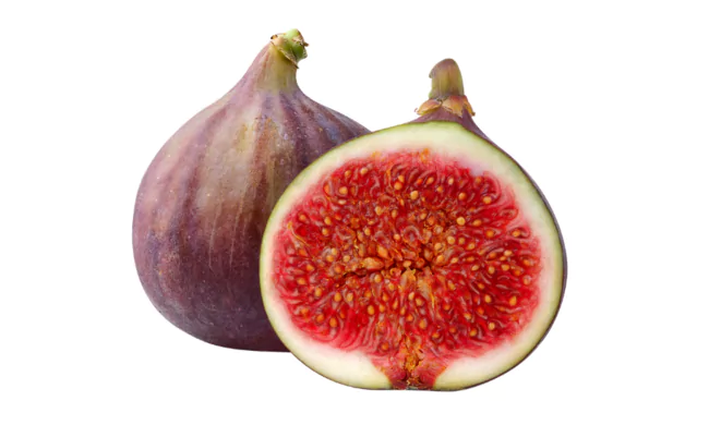Fig