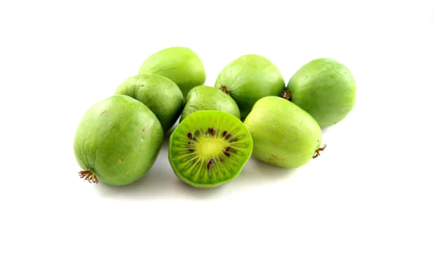 Hardy Kiwi