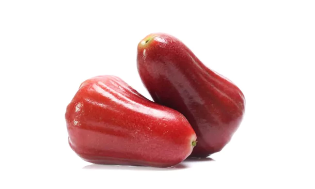 Hawaiian Mountain Apples