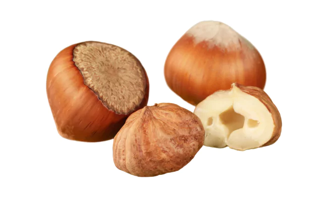 Hazelnut