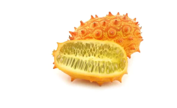 Horned Melon
