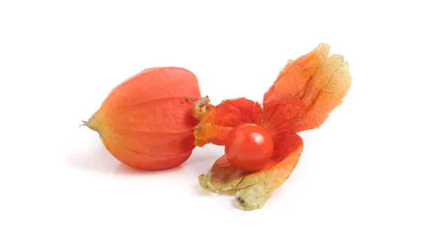 Husk Tomato