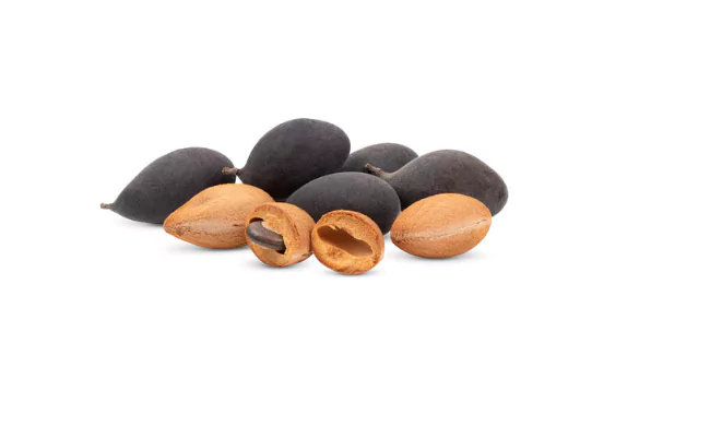Velvet Tamarind