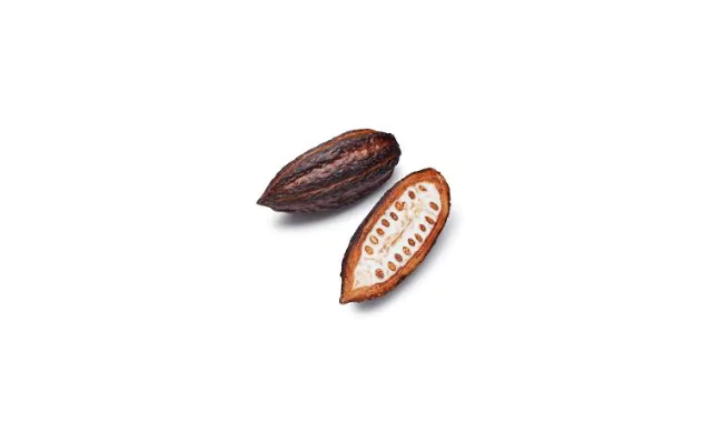 Cacao Pod