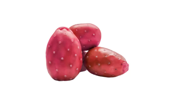 Cactus Pear Fruit