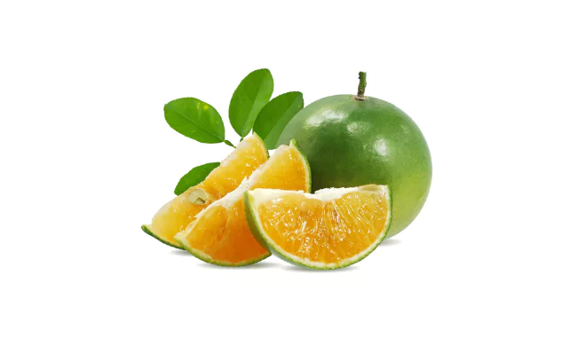 Calamansi Fruit