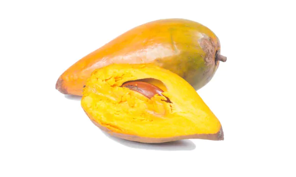 Canistel Fruit