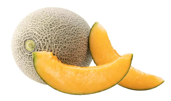 Cantaloupe Fruit