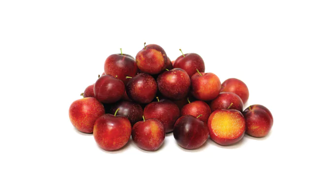 Cherry Plum Fruit