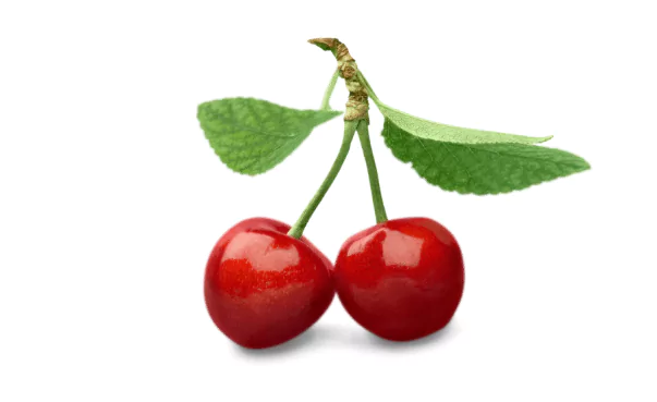 Cherry Fruit