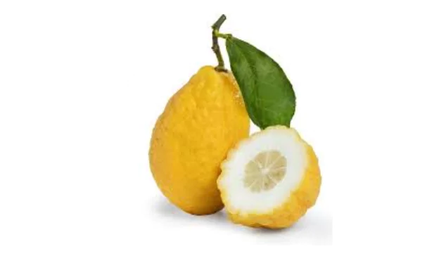 Citron Fruit