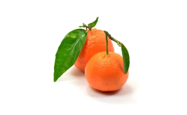 Clementine Fruit