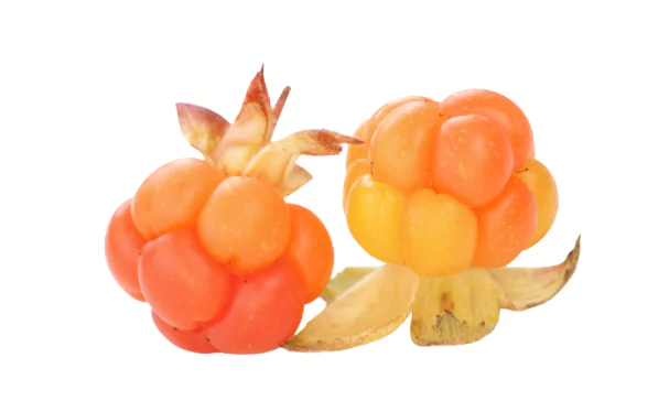 Cloudberry Fruit