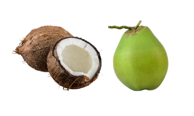 Coconut Fruit