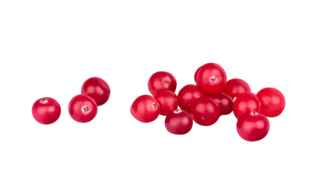 Cranberry Fruit