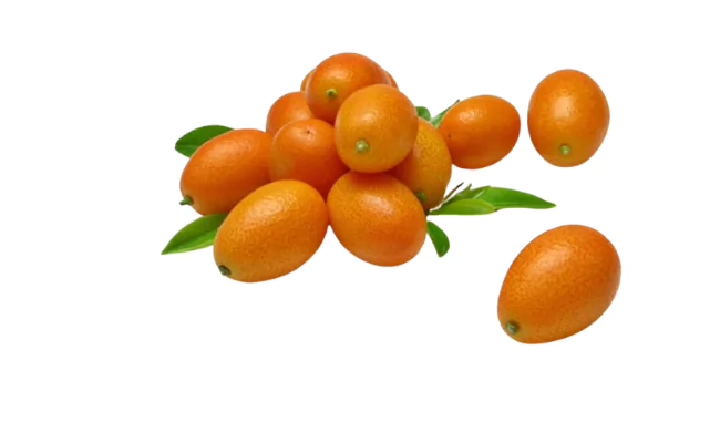 Cumquat Fruit