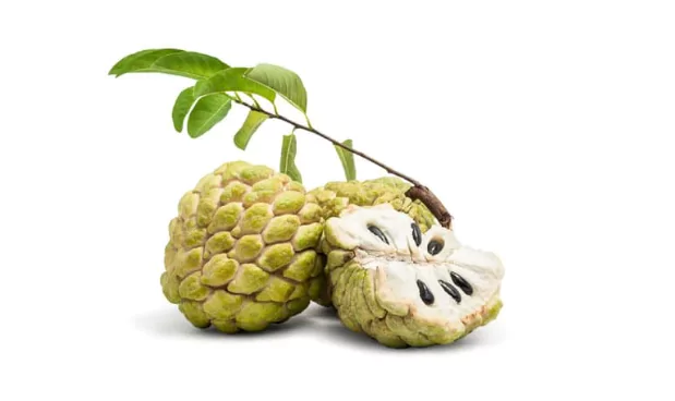 Custard Apple Fruit