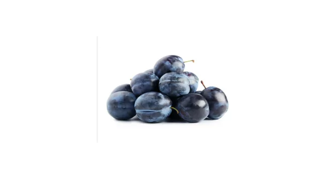 Damson Plum