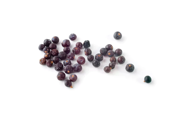 juniper-berry