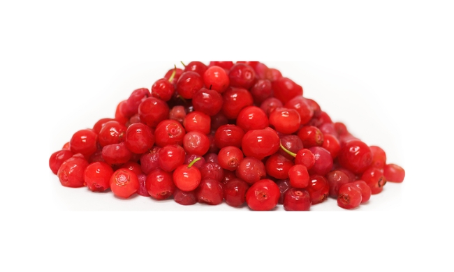 Red Huckleberry