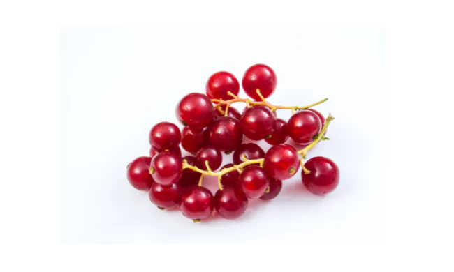 Redcurrant