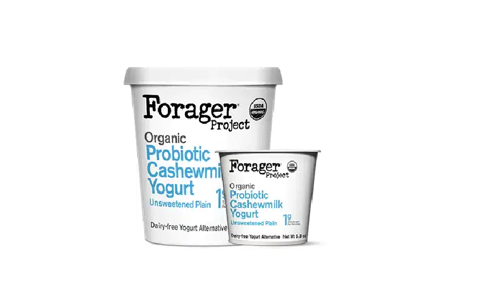 Forager Project Organic Unsweetened Cashew Yogurt