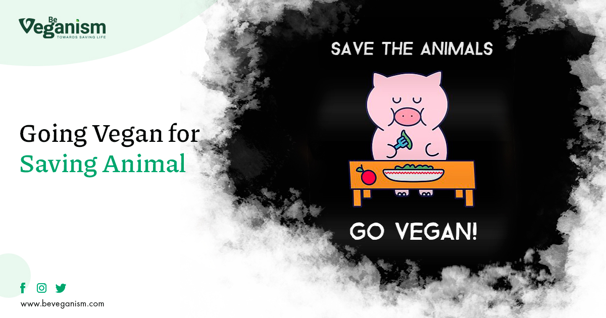Be The Voice Of The Voiceless Saving Animals - Go Vegan