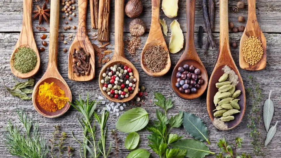 Best Vegan Food Restaurants in Best Vegan Restaurants New York City - Uptown Veg