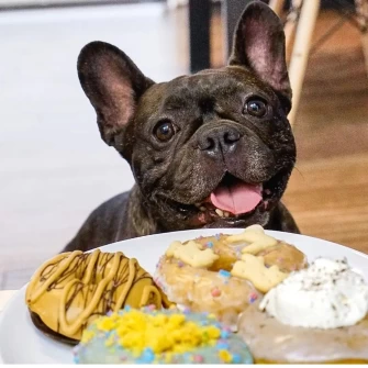 Vegan Donuts At Doe Donuts In portland