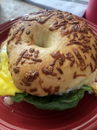 Bagel sandwich At Conscious Coffee In Talkeetna