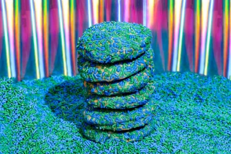 Mother Earth Sprinkle Cookie At Beatnic - Soho In New York City