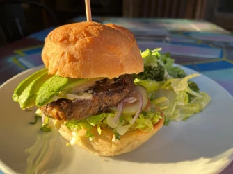 Burger At Urban Vegan Kitchen In New York City