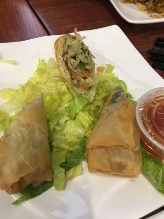 Spring rolls At Zen Vegetarian House In Brooklyn
