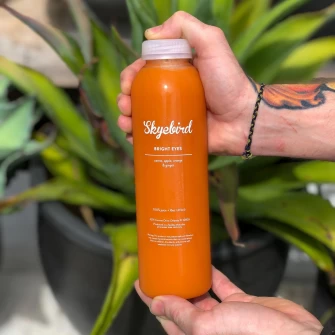 Vegan Food At Skyebird In Orlando