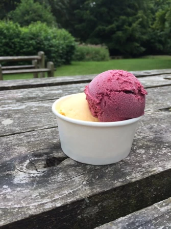 Vegetarian Food At The Beech Cafe In Petersfield