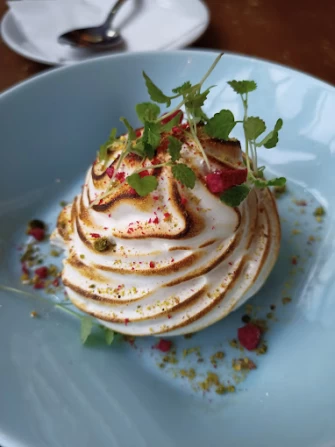 Vegan Food At No.Twelve In Nottingham