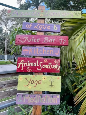 Vegan Food At Aguacate Sanctuary of Love In Miami