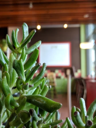 Vegan Food At Soupergirl In Washington