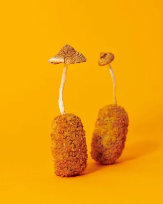 Vegan Food At Tastebuds In Antwerpen