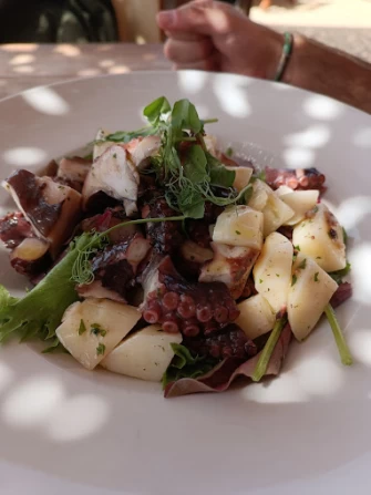 Veg Food At Singita Miracle Beach In L-imgarr